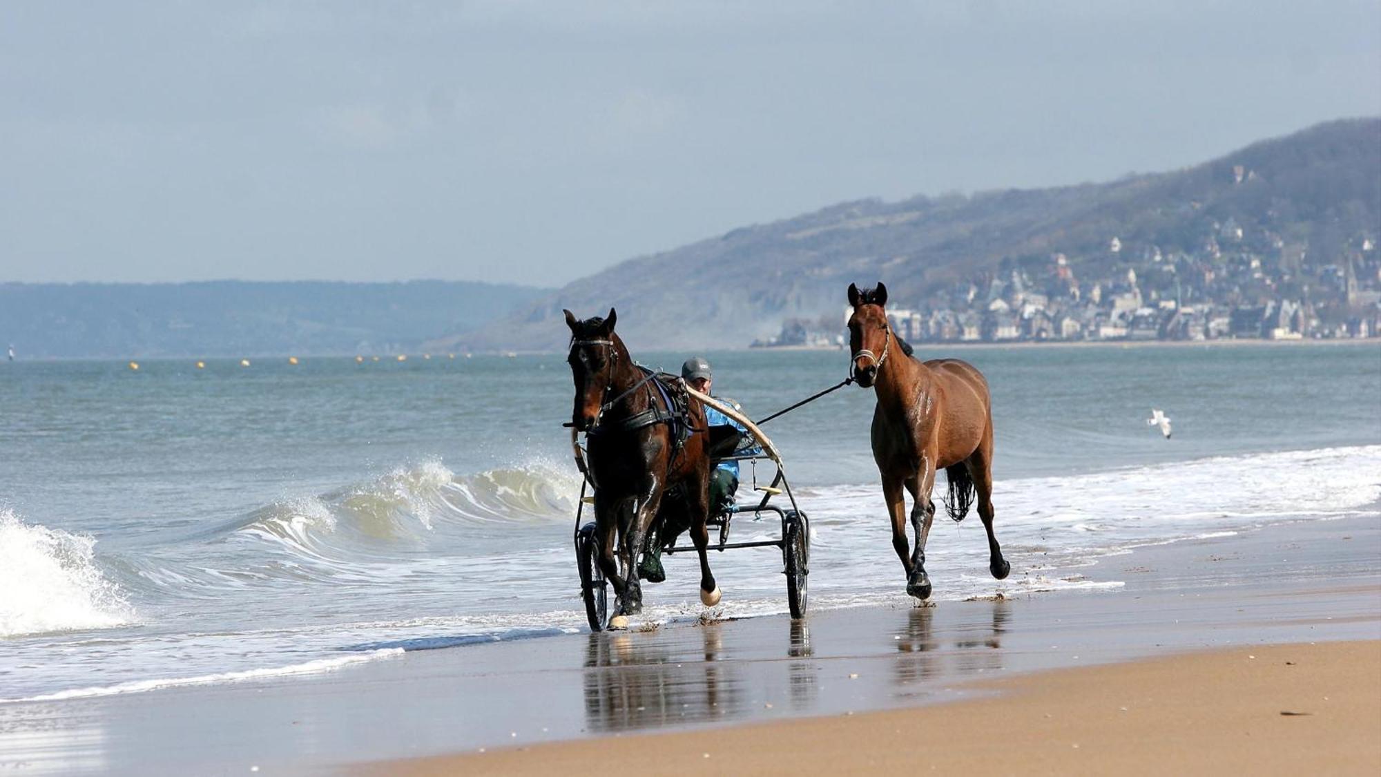 Le Nid De Plage A 100 M De La Mer Cabourg Exterior foto